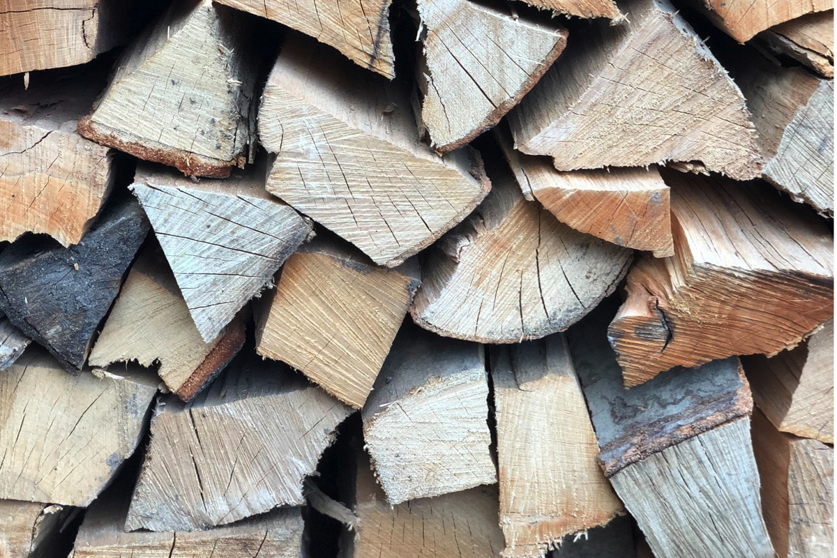 Blog: Hoe hout ons leven veranderde!